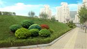 北京街高基路停车场